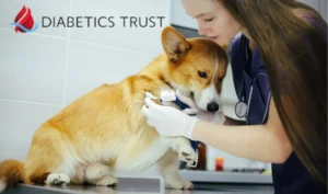 Importance of Regular Veterinary Check-Ups for Diabetic Dogs